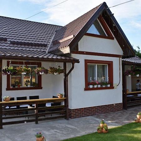 Casa De Vacanta Dalia Si Crina Babadag 外观 照片