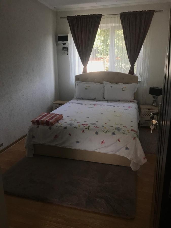 Casa De Vacanta Dalia Si Crina Babadag 外观 照片