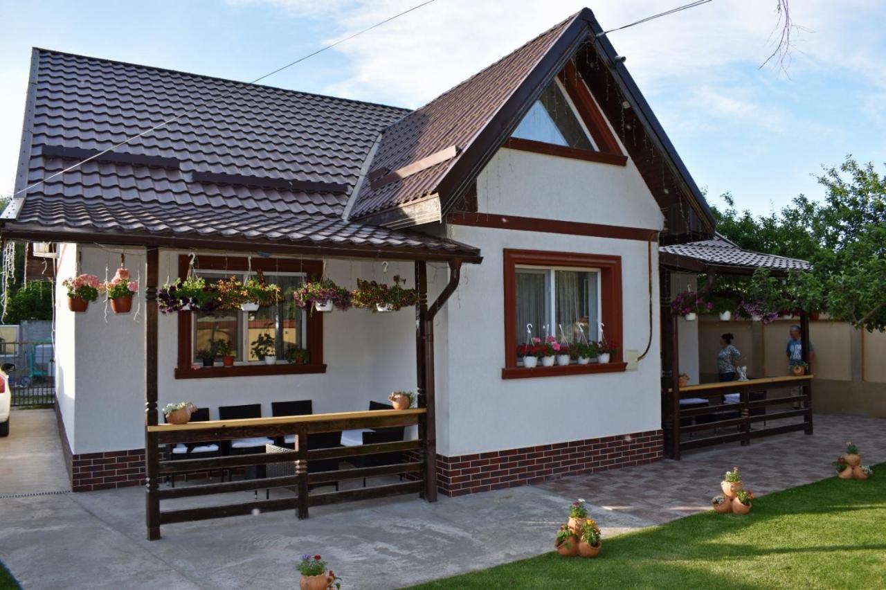 Casa De Vacanta Dalia Si Crina Babadag 外观 照片